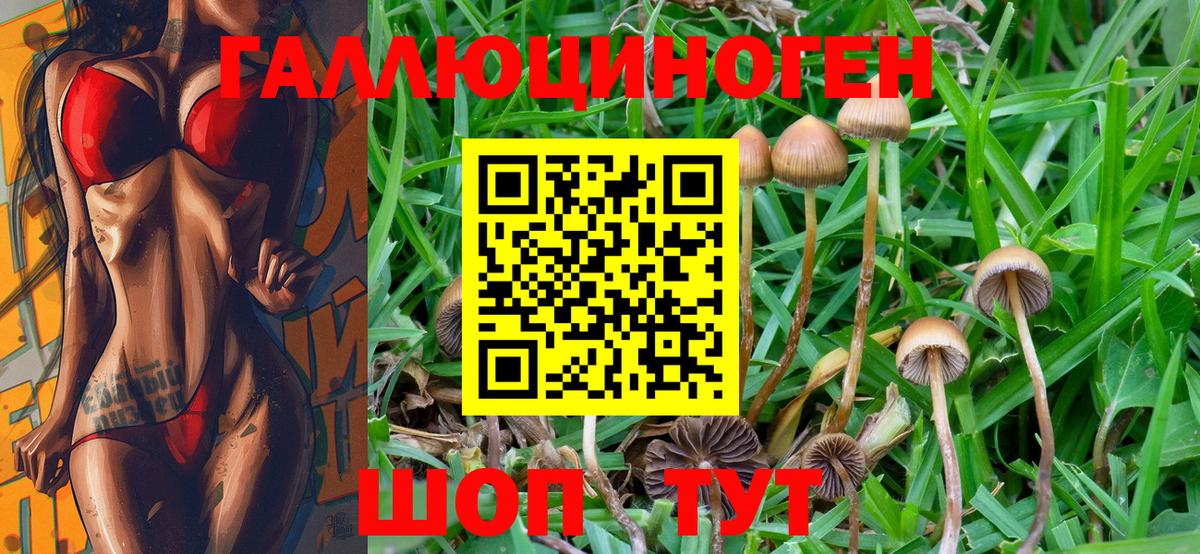 Псилоцибиновые грибы ЛСД Амурск