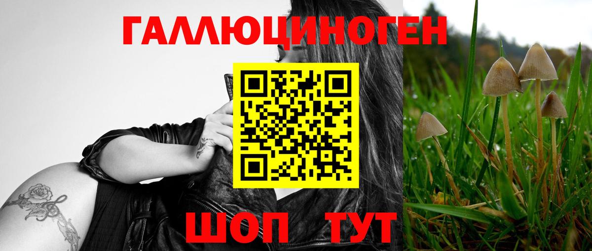 Амурск  Псилоцибиновые грибы Magic Shrooms  Вход с VPN 